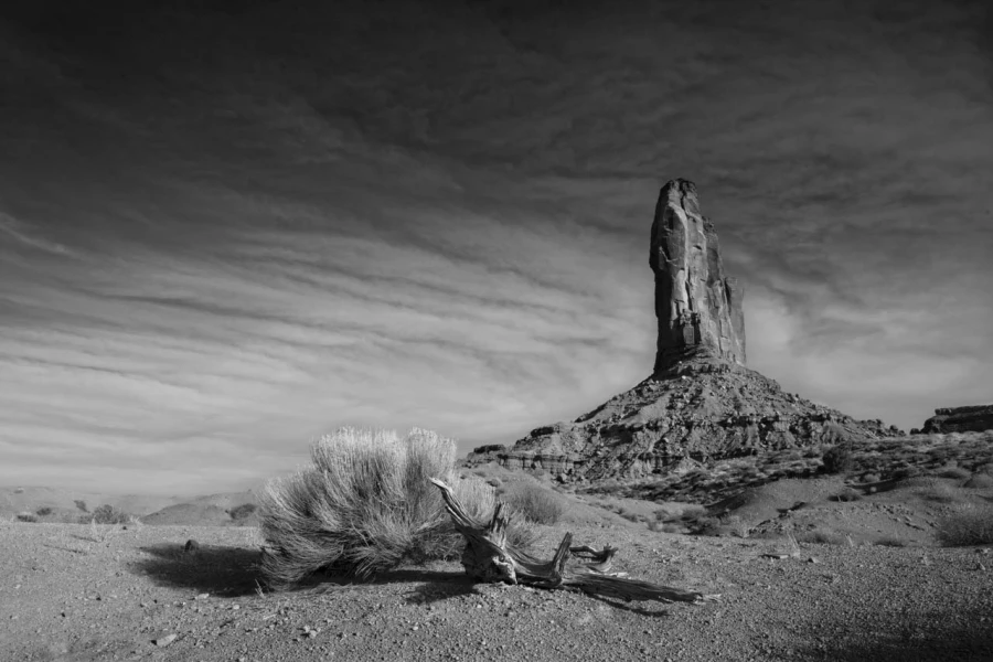 Paysage en noir et blanc de Monument Valley dans l'état de l'Ar