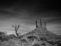 Paysage en noir et blanc de Monument Valley dans l'état de l'Ar