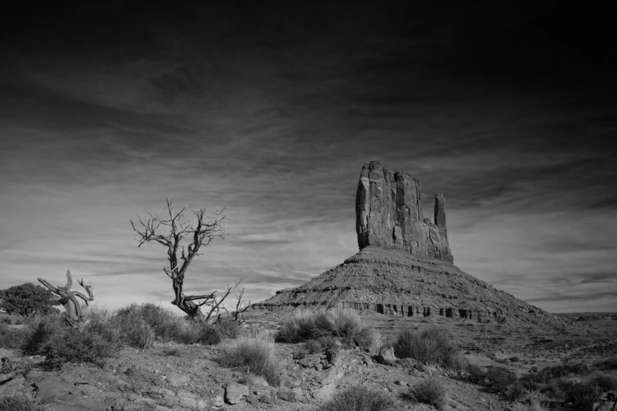 Paysage en noir et blanc de Monument Valley dans l'état de l'Ar
