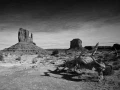 Paysage en noir et blanc de Monument Valley dans l'état de l'Ar