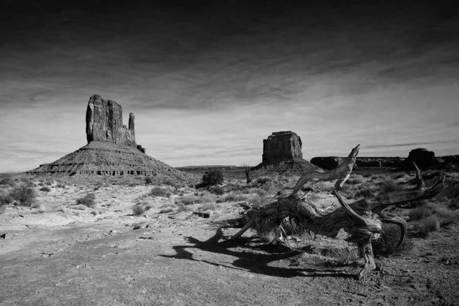 Paysage en noir et blanc de Monument Valley dans l'état de l'Ar