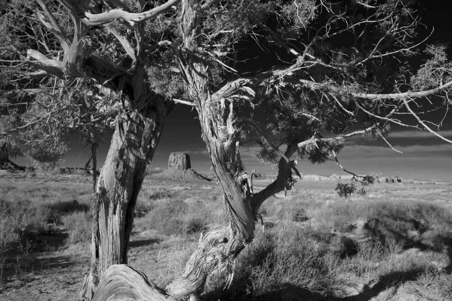 Paysage en noir et blanc de Monument Valley dans l'état de l'Ar