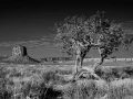 Paysage en noir et blanc de Monument Valley dans l'état de l'Ar
