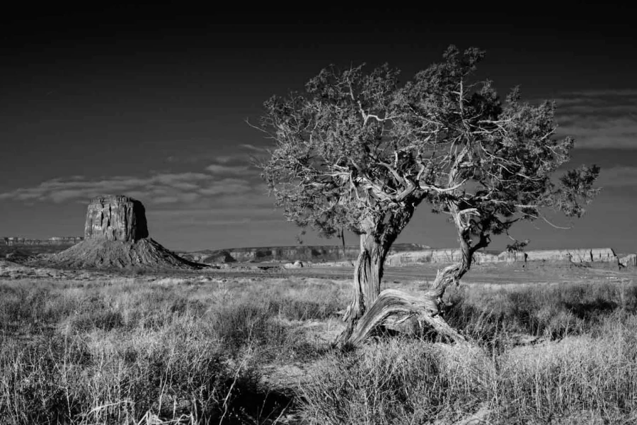 Paysage en noir et blanc de Monument Valley dans l'état de l'Ar
