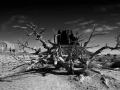 Paysage en noir et blanc de Monument Valley dans l'état de l'Ar