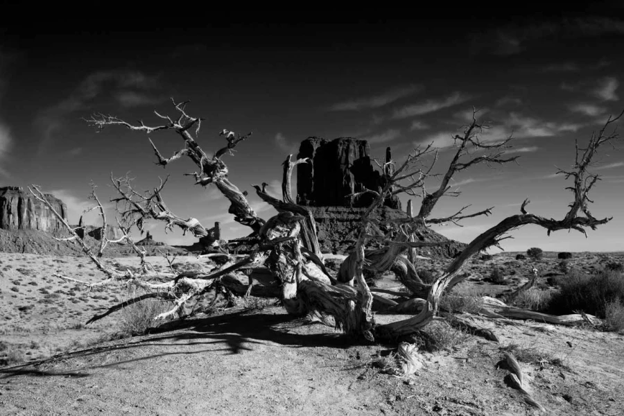 Paysage en noir et blanc de Monument Valley dans l'état de l'Ar