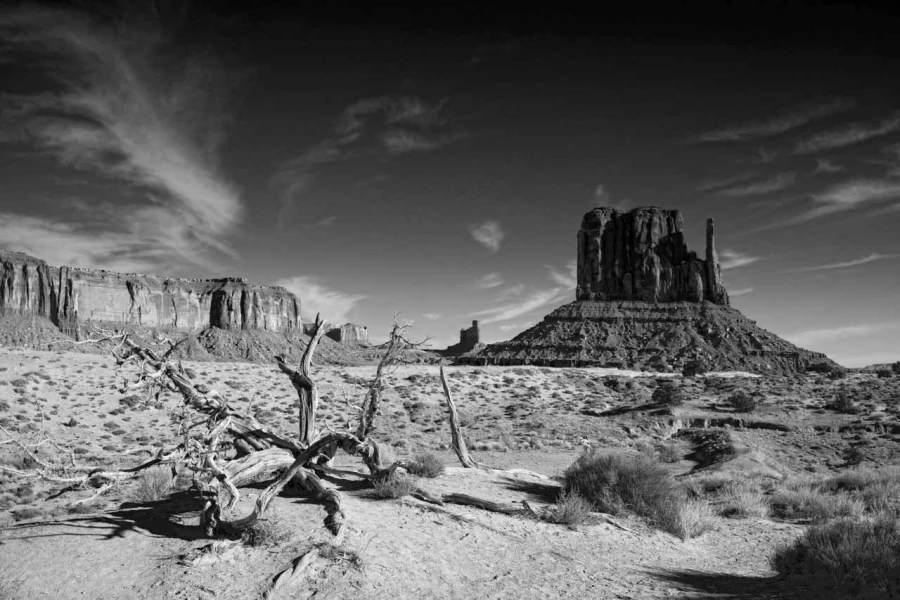 Paysage en noir et blanc de Monument Valley dans l'état de l'Ar