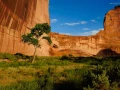 Landscape of Canyon de Chelly in Arizona. Amar Guillen, Photogra