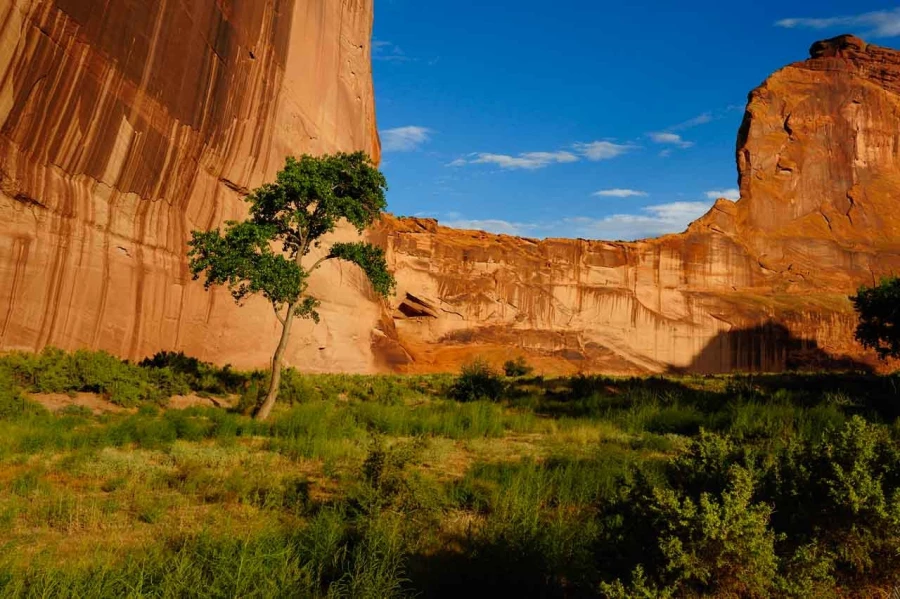 Paysage du Canyon de Chelly dans l'état de l'Arizona aux Etats-