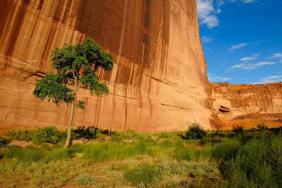 Paysage du Canyon de Chelly dans l'état de l'Arizona aux Etats-