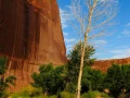Landscape of Canyon de Chelly in Arizona. Amar Guillen, Photogra