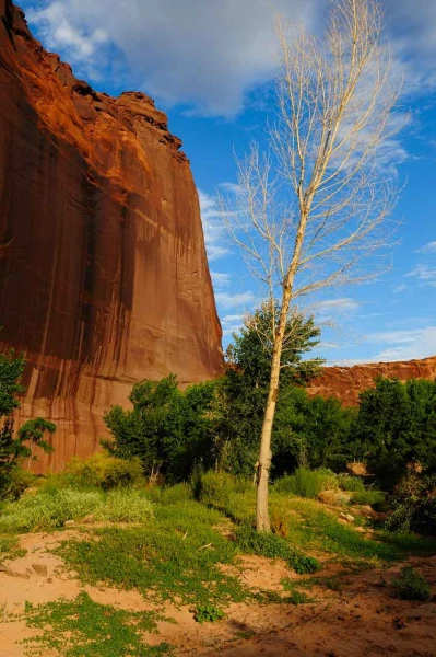 Paysage du Canyon de Chelly dans l'état de l'Arizona aux Etats-