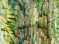 Abstract photo created with a naturel scene.