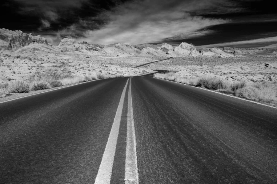 01 landscape of valley of fire in black and white amar guillen photographer