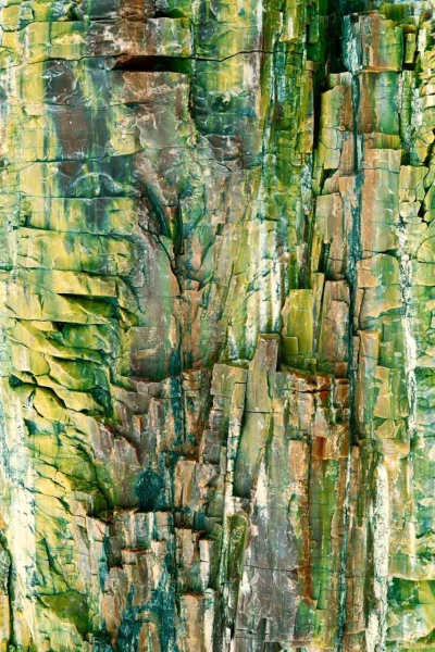Photo abstraite réalisée sur une scène naturelle.