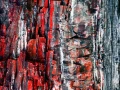 Abstract photo created with a naturel scene.