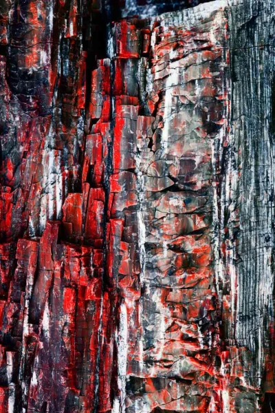 Abstract photo created with a naturel scene.