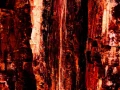 Abstract photo created with a naturel scene.