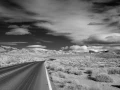 03 landscape of valley of fire in black and white amar guillen photographer