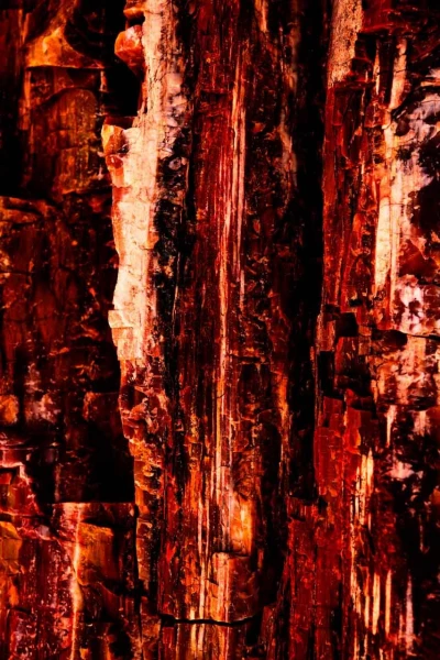 Photo abstraite réalisée sur une scène naturelle.