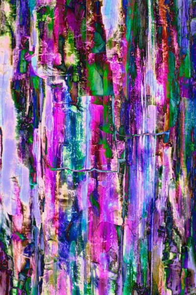 Abstract photo created with a naturel scene.