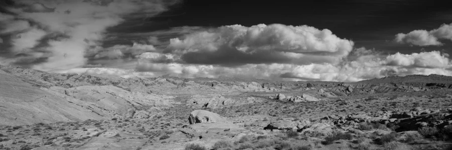 04 landscape of valley of fire in black and white amar guillen photographer