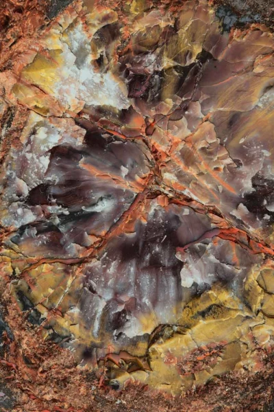 Photo abstraite réalisée sur une scène naturelle.