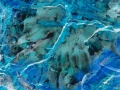Abstract photo created with a naturel scene.