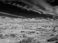 06 landscape of valley of fire in black and white amar guillen photographer