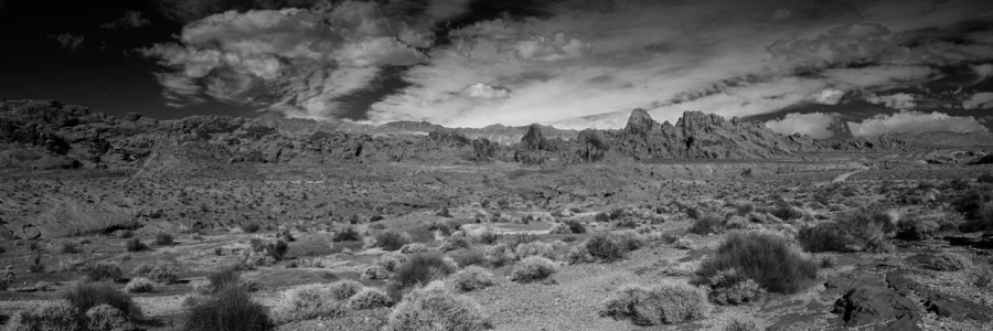 07 paysage de valley fire nevada en noir et blanc amar guillen photographe