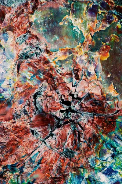 Photo abstraite réalisée sur une scène naturelle.