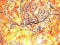 Abstract photo created with a naturel scene.