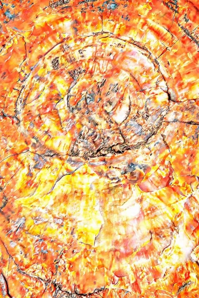 Abstract photo created with a naturel scene.