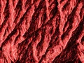Abstract photo created with a naturel scene.