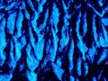 Abstract photo created with a naturel scene.