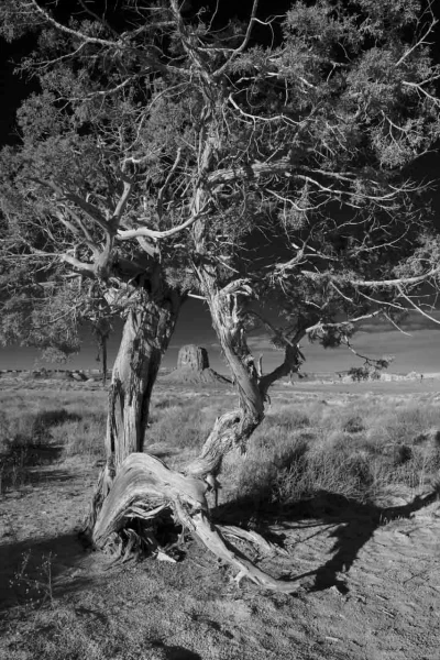 Landscape in black and white of Monument Valley in Arizona in Un
