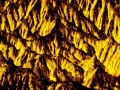 Photo abstraite réalisée sur une scène naturelle.