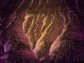 Abstract photo created with a naturel scene.