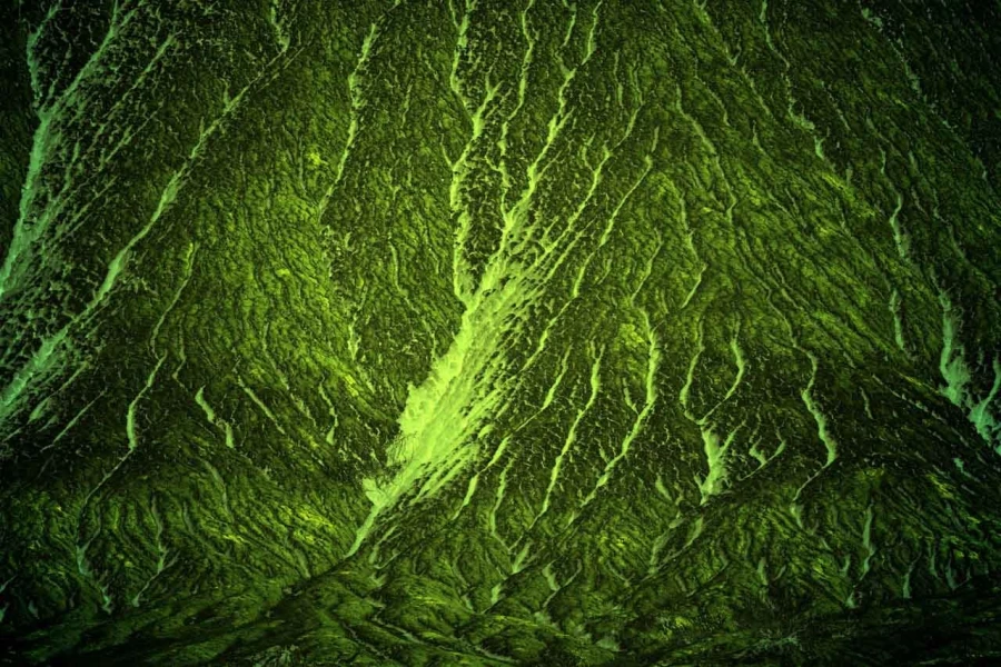 Photo abstraite réalisée sur une scène naturelle.