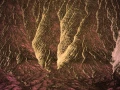 Abstract photo created with a naturel scene.