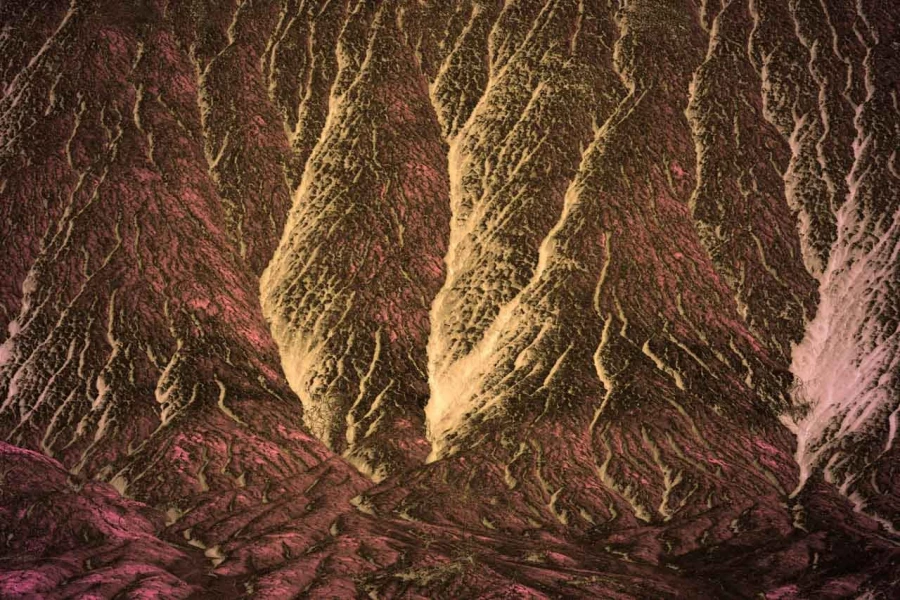 Photo abstraite réalisée sur une scène naturelle.