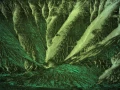 Abstract photo created with a naturel scene.