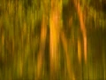 Abstract photo created with a naturel scene.