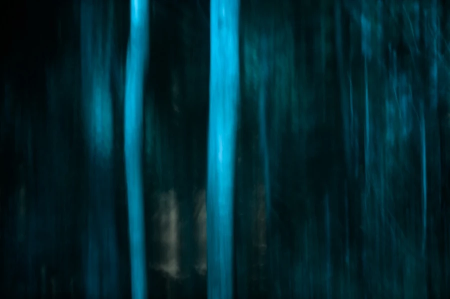 Abstract photo created with a naturel scene.