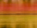 Abstract photo created with a naturel scene.