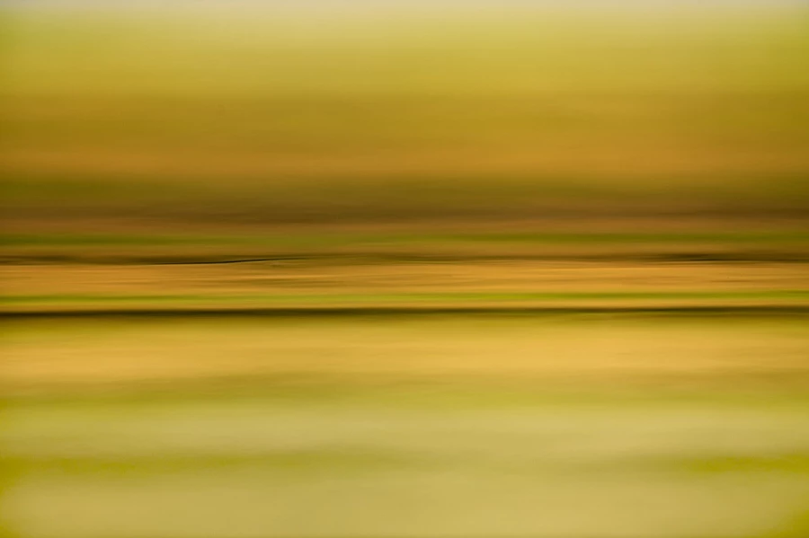 Photo abstraite réalisée sur une scène naturelle.