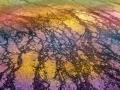 Abstract photo created with a naturel scene.