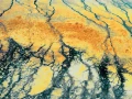 Abstract photo created with a naturel scene.