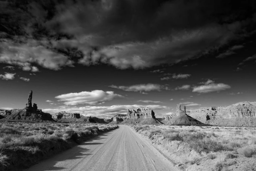 Landscape of Valley of the Gods in Utah in black and white.