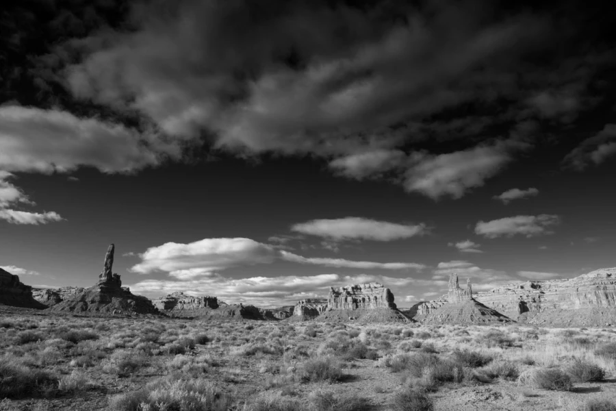 Paysage de Valley of the Gods dans l'Utah en noir et blanc.